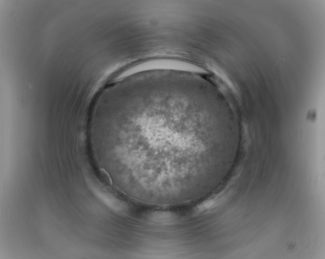 X0000092030203200709201619