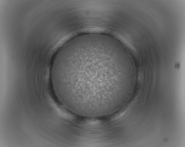 X0000092030206200709201619