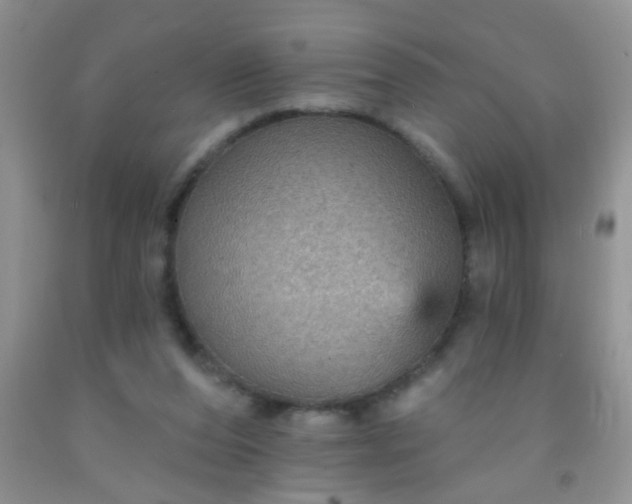 X0000092030208200709201619