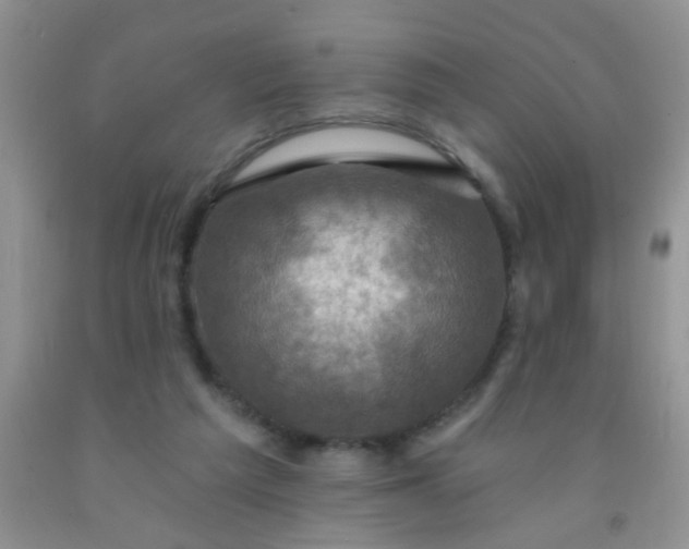 X0000092030209200709201619