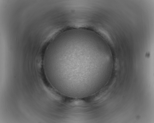 X0000092030210200709201619