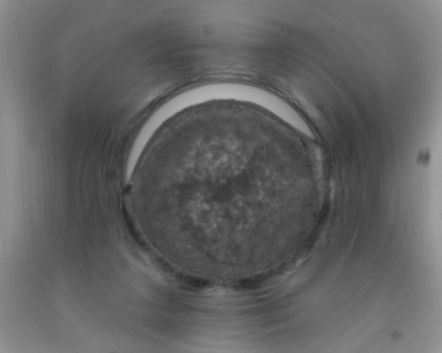 X0000092030211200709201618