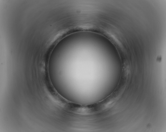 X0000092030212200709201618