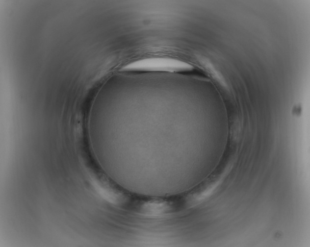 X0000092030213200709201618