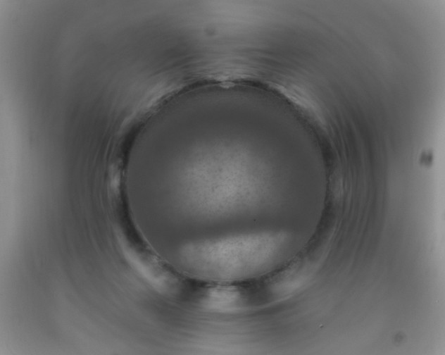 X0000092030214200709201618