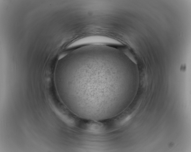 X0000092030215200709201618