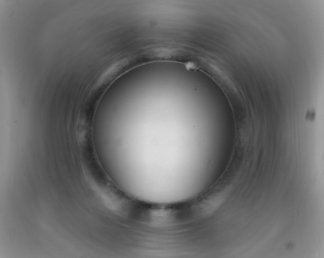 X0000092030216200709201618