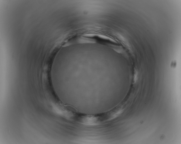 X0000092030217200709201618