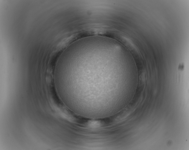 X0000092030218200709201618