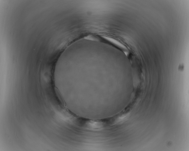 X0000092030221200709201618