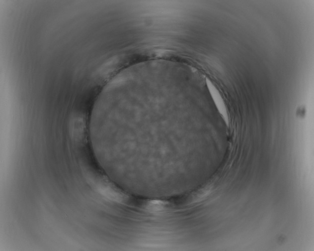 X0000092030222200709201618