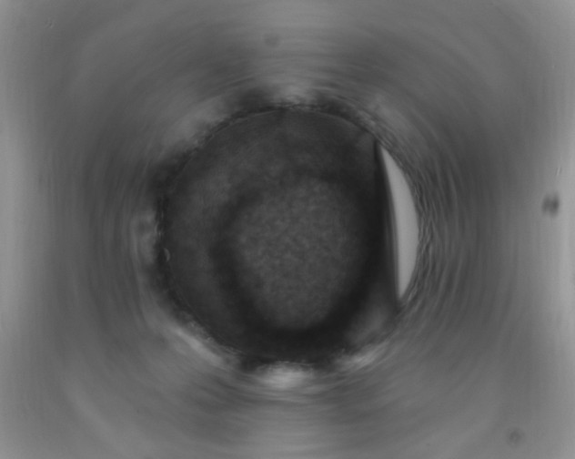 X0000092030223200709201618