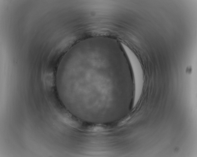 X0000092030224200709201618