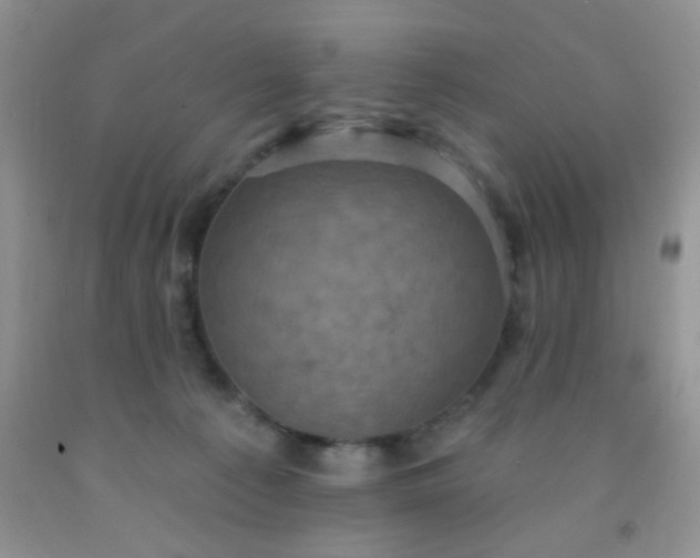 X0000092030225200709201618