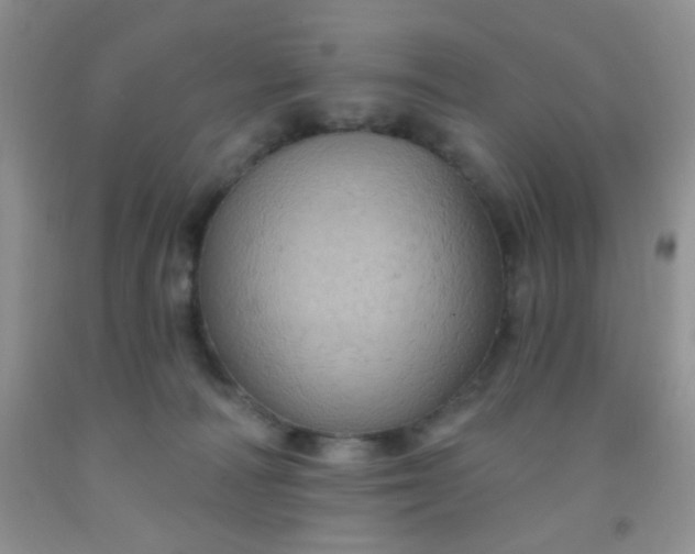 X0000092030226200709201618