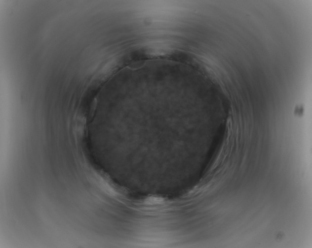 X0000092030227200709201618