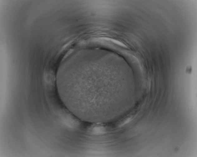 X0000092030228200709201618