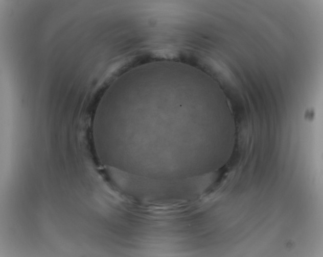 X0000092030229200709201618