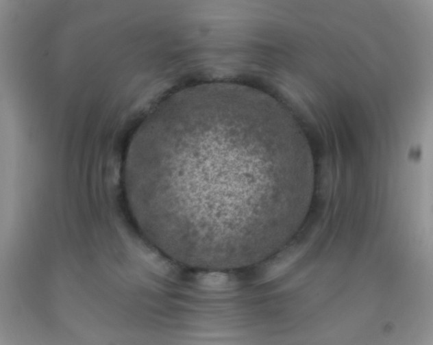 X0000092030230200709201618