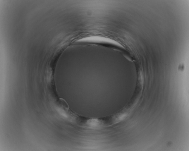 X0000092030231200709201618