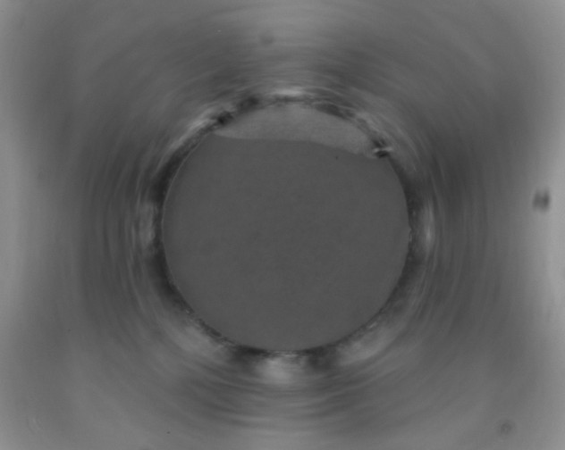 X0000092030232200709201618