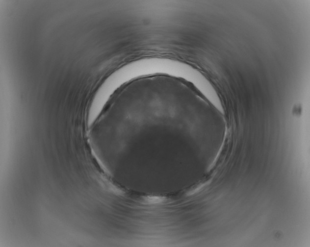 X0000092030233200709201618