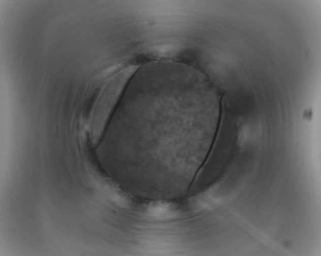 X0000092030235200709201618