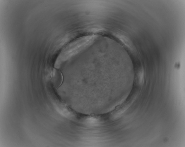 X0000092030236200709201618