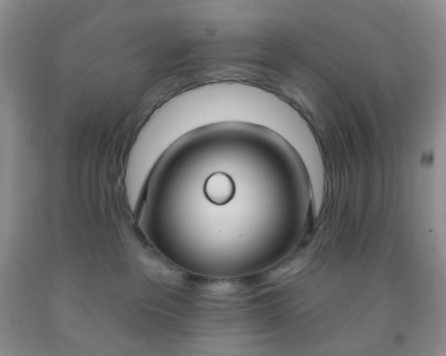 X0000092030237200709201618