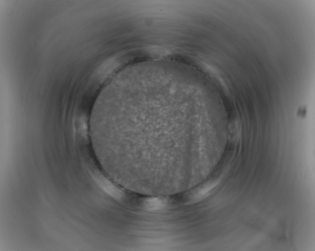 X0000092030238200709201618