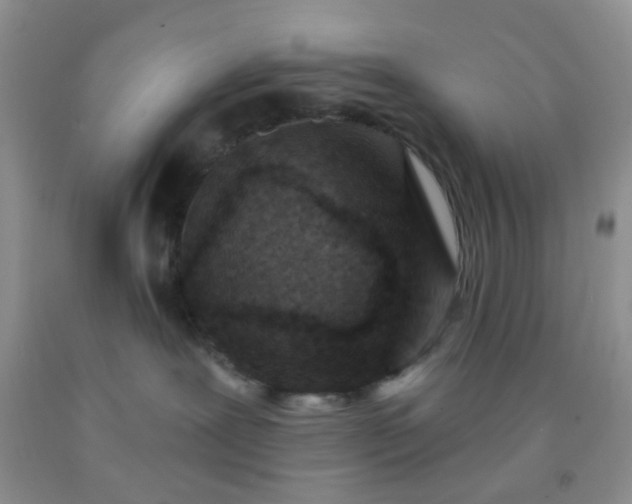 X0000092030239200709201618