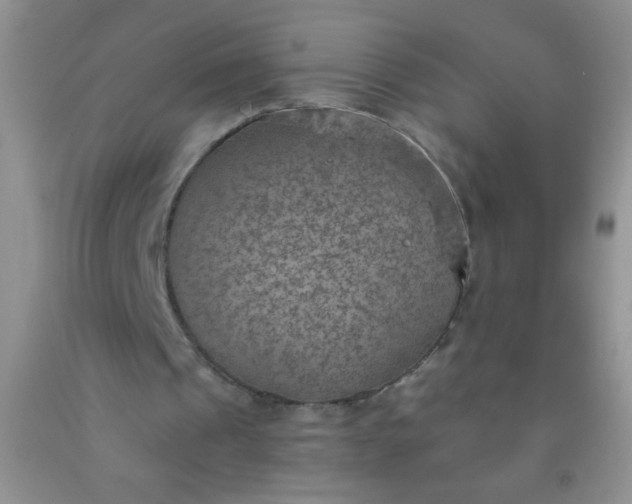 X0000092030241200709201618