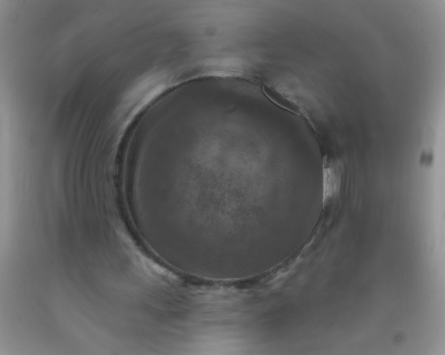 X0000092030243200709201618