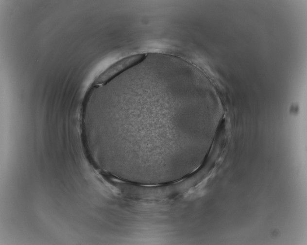 X0000092030244200709201618