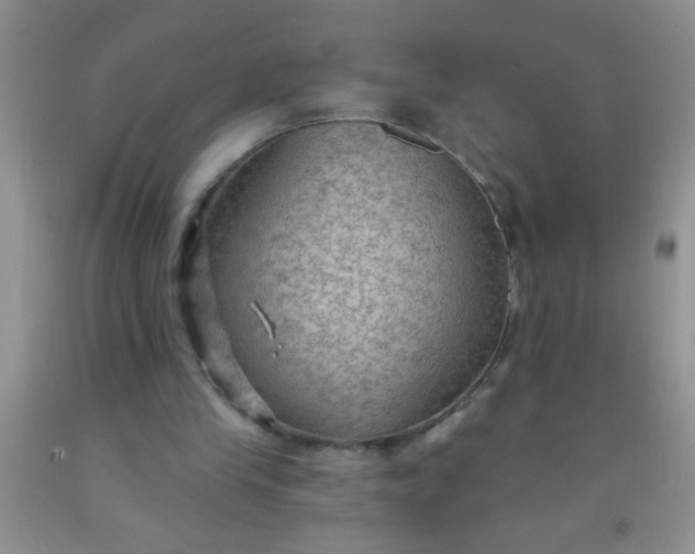 X0000092030245200709201618