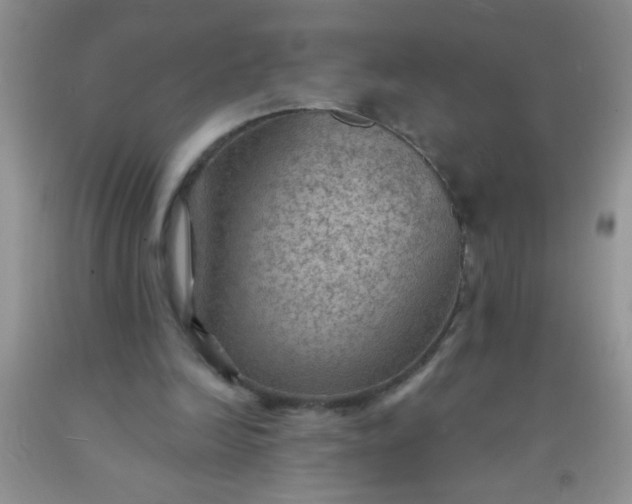 X0000092030246200709201618