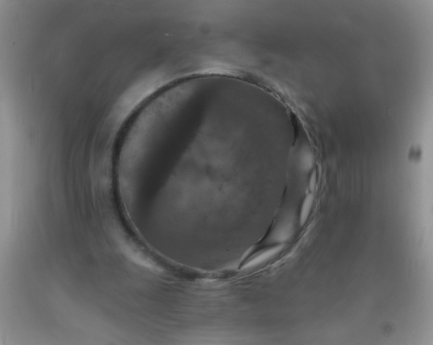 X0000092030247200709201618