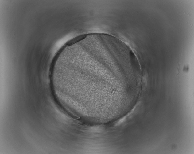 X0000092030248200709201618