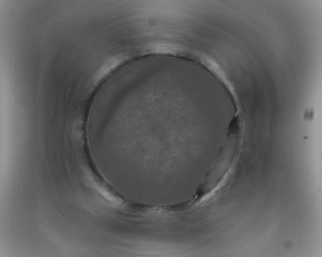 X0000092030249200709201618