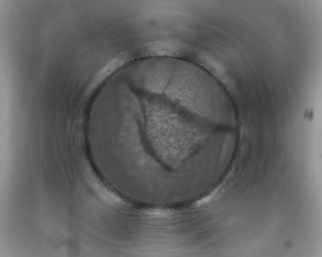 X0000092030250200709201618