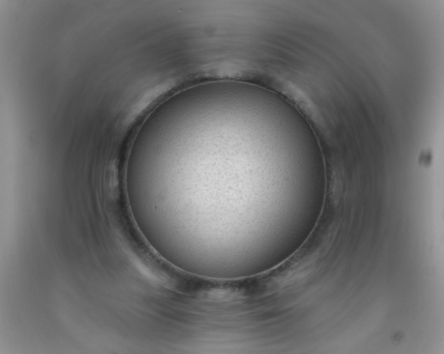 X0000092030251200709201618