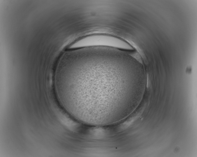 X0000092030253200709201618