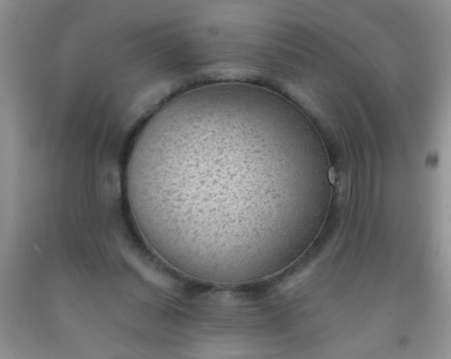 X0000092030254200709201618