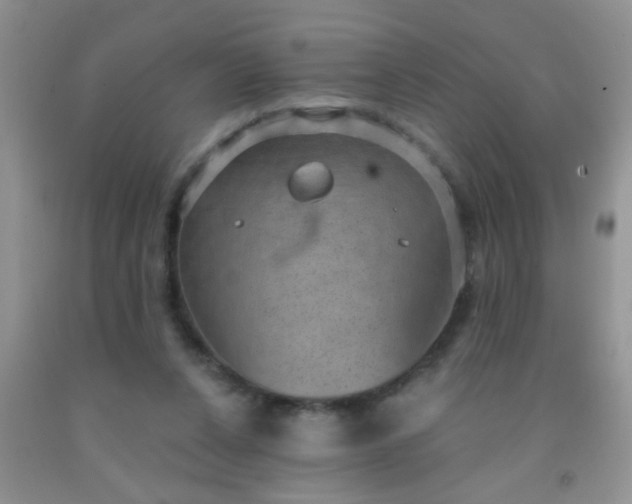 X0000092030256200709201618