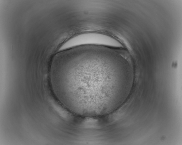 X0000092030257200709201618