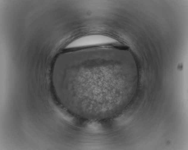 X0000092030258200709201618