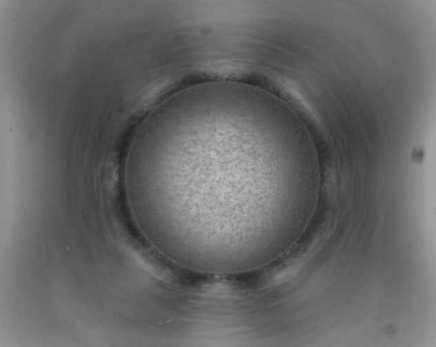 X0000092030259200709201618