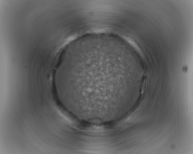 X0000092030260200709201618