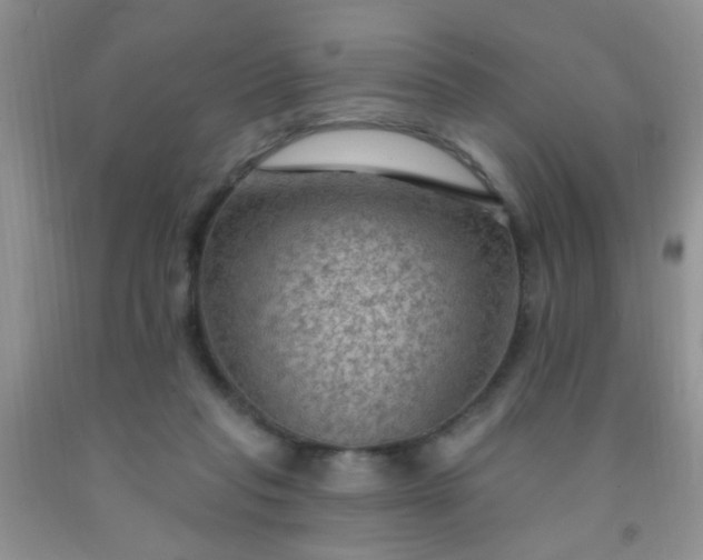 X0000092030261200709201618