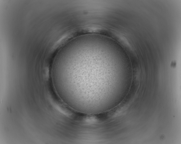 X0000092030262200709201618